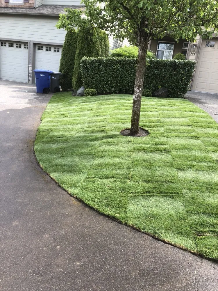 Expert yard cleanup service experts serving Redmond, WA - Solid Landscape Services