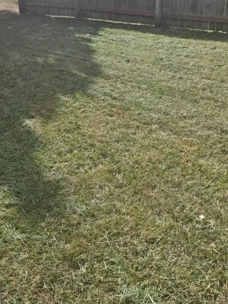 Reliable lawn mowing service in Lawrence, KS by Solid Landscaping