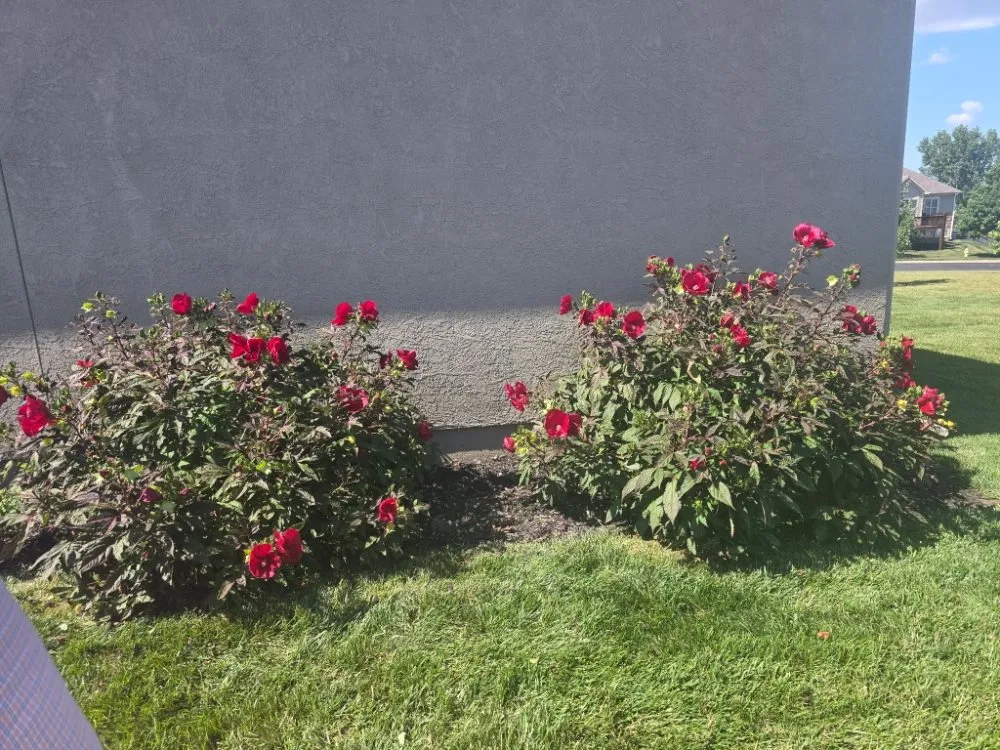 Professional outdoor landscaping for year-round maintenance in Lawrence, KS by Solid Landscaping