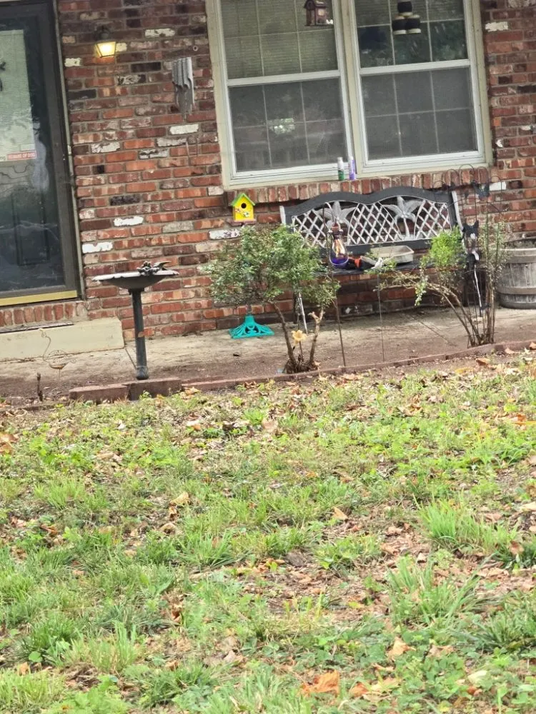 Professional outdoor landscaping in Lawrence, KS by Solid Landscaping