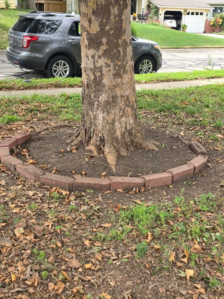 Professional yard maintenance in Lawrence, KS by Solid Landscaping