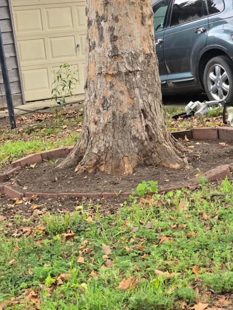 Expert lawn care service in Lawrence, KS by Solid Landscaping