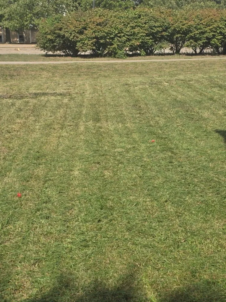 Trusted garden landscaping in Lawrence, KS by Solid Landscaping