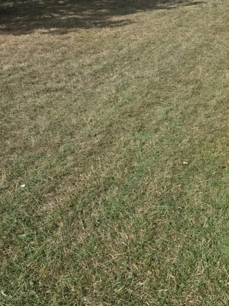 Custom landscaping services for homes in Lawrence, KS by Solid Landscaping