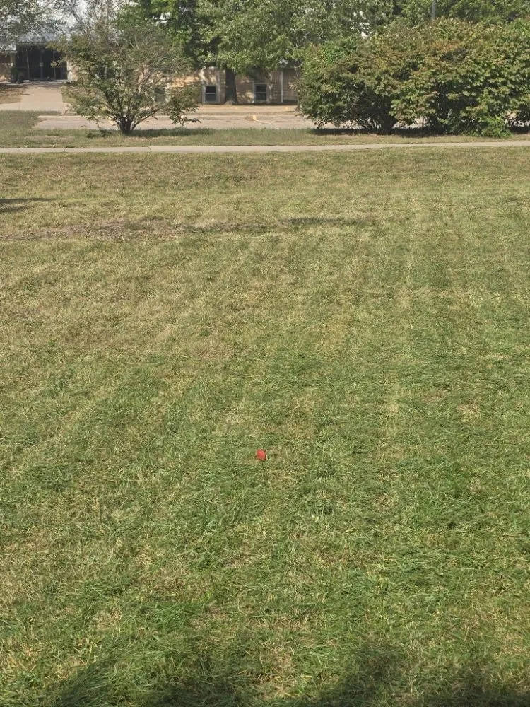 Local residential landscaping in Lawrence, KS by Solid Landscaping