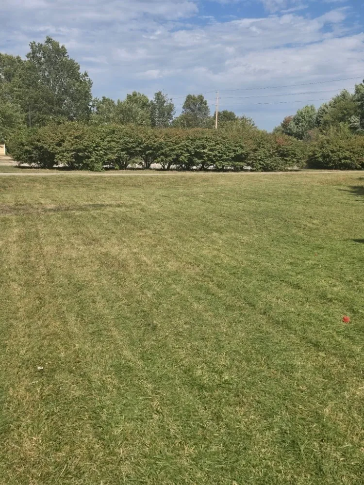 Professional landscape design experts serving Lawrence, KS - Solid Landscaping