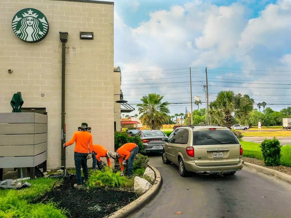 Top-rated lawn mowing service for year-round maintenance across Brownsville, TX - Solid Lawn Care