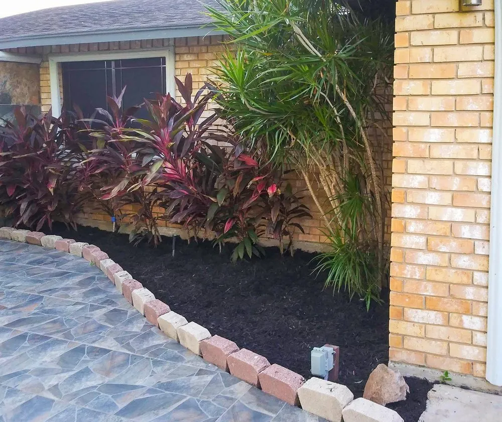 Professional landscaping services in Brownsville, TX - Solid Lawn Care
