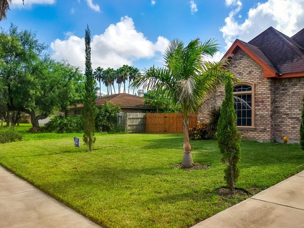 Affordable lawn mowing service for beautiful yards across Brownsville, TX - Solid Lawn Care