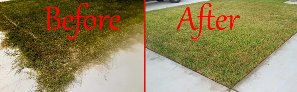 Affordable garden landscaping experts serving Brownsville, TX - Solid Lawn Care