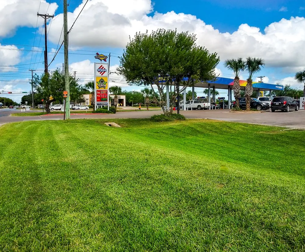 Local landscape design with custom design across Brownsville, TX - Solid Lawn Care