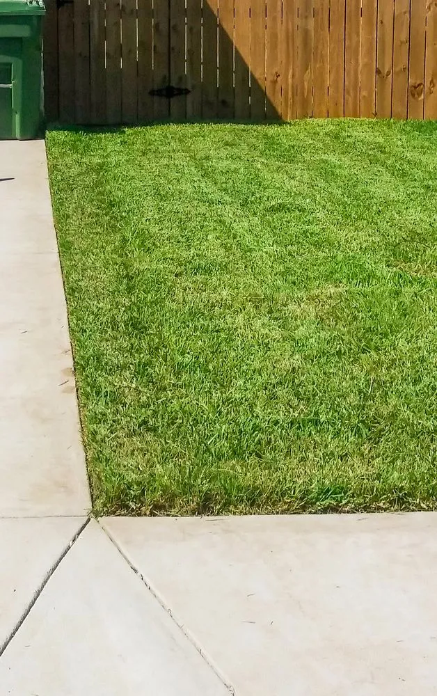 Professional garden landscaping in Brownsville, TX - Solid Lawn Care
