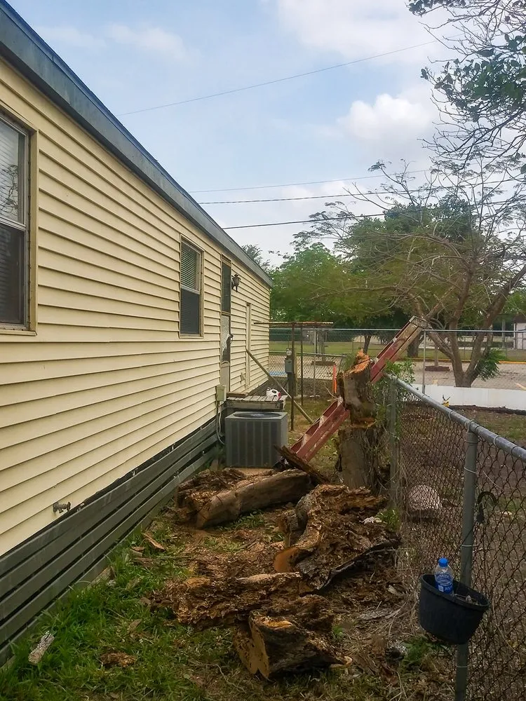 Trusted yard maintenance in Brownsville, TX - Solid Lawn Care