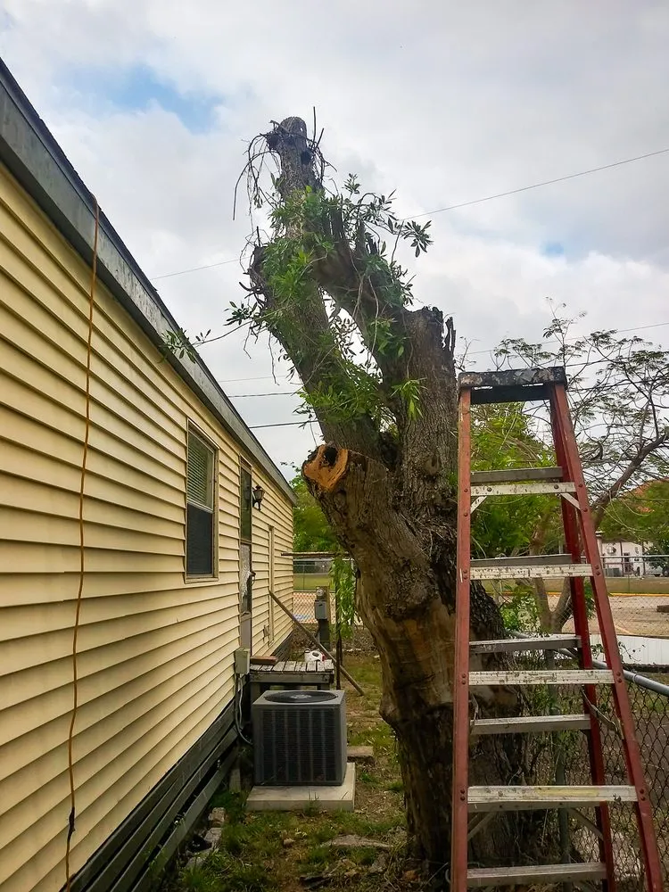 Expert residential landscaping in Brownsville, TX - Solid Lawn Care