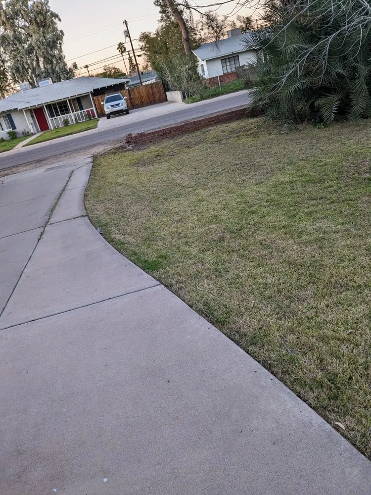 Affordable landscape design with custom design in Phoenix, AZ by Solid Lawn Care