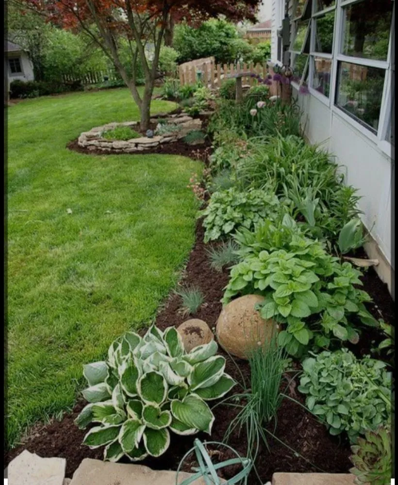 Top-rated yard cleanup service for residential properties across Phoenix, AZ - Solid Lawn Care