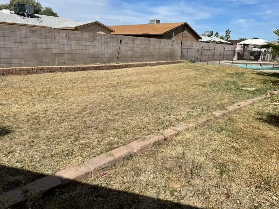 Top-rated outdoor landscaping near you across Phoenix, AZ - Solid Lawn Care