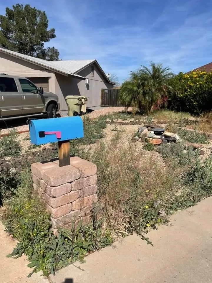 Top-rated lawn care service experts serving Phoenix, AZ - Solid Lawn Care