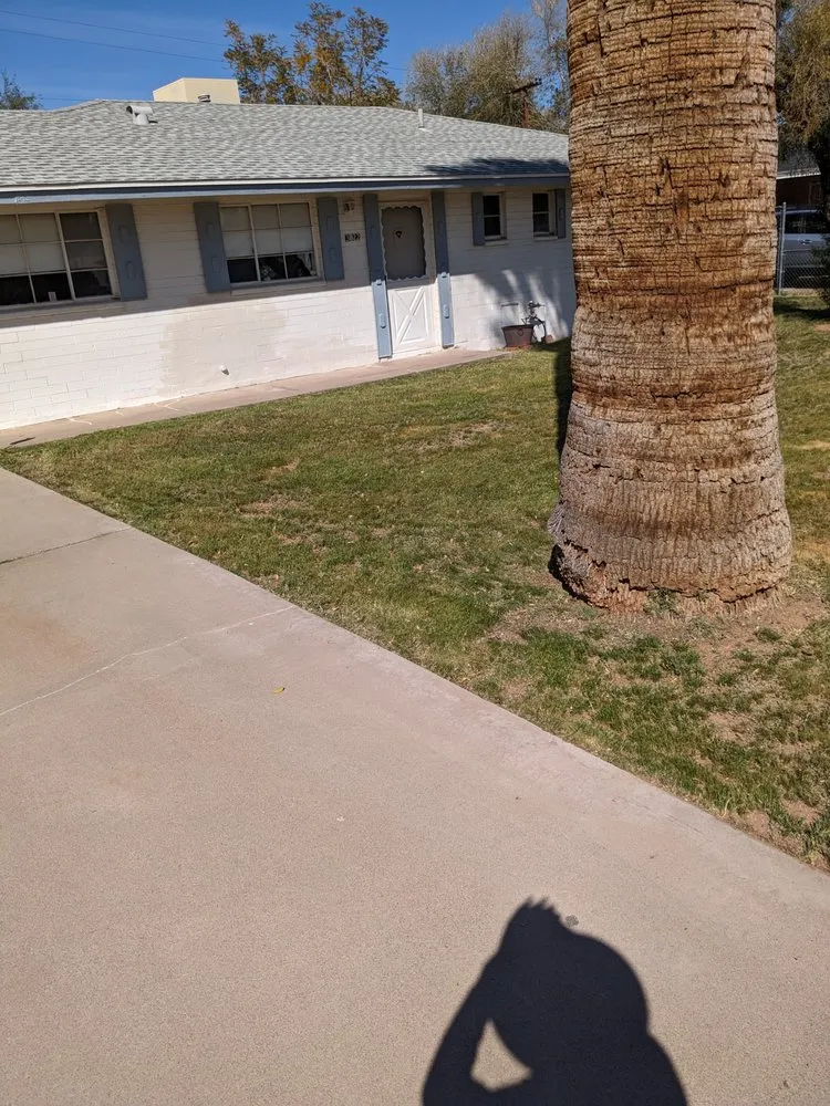 Custom landscaping services in Phoenix, AZ by Solid Lawn Care