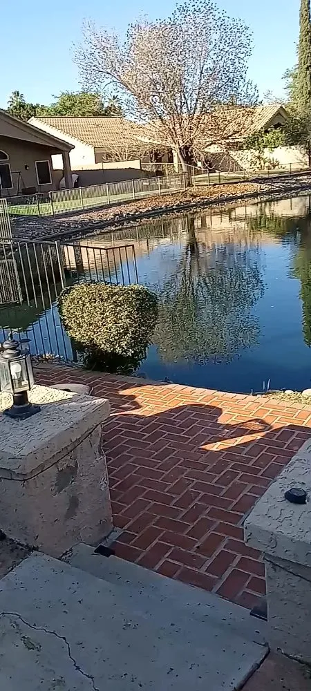 Custom lawn care service for beautiful yards across Phoenix, AZ - Solid Lawn Care