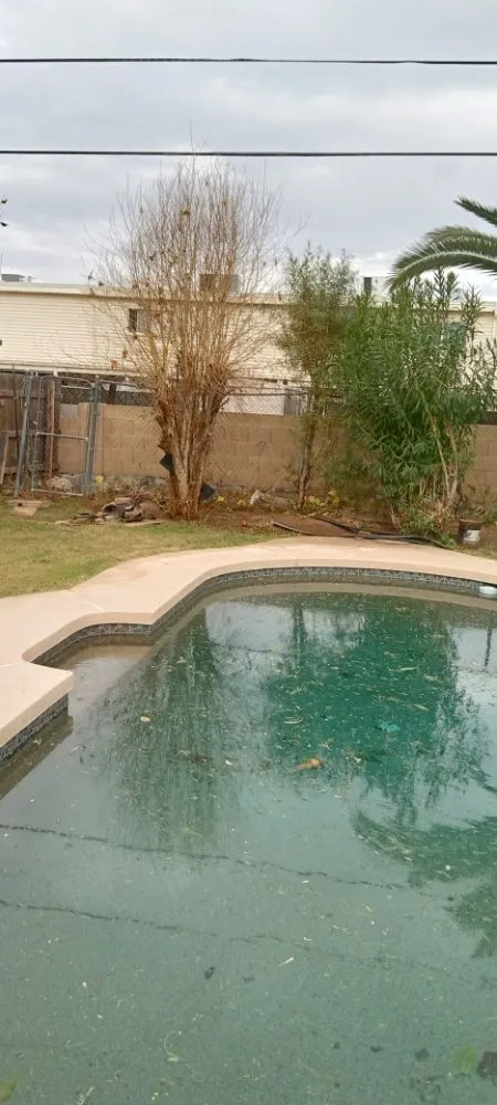 Expert landscaping services for outdoor upgrades in Phoenix, AZ by Solid Lawn Care