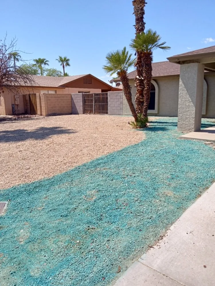 Local residential landscaping experts serving Phoenix, AZ - Solid Lawn Care
