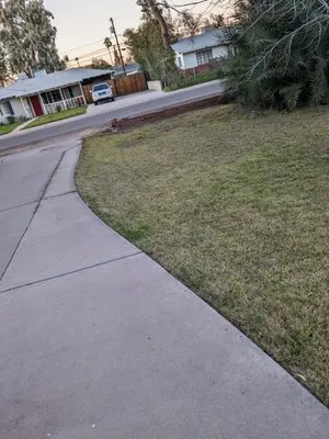 Solid Lawn Care Logo