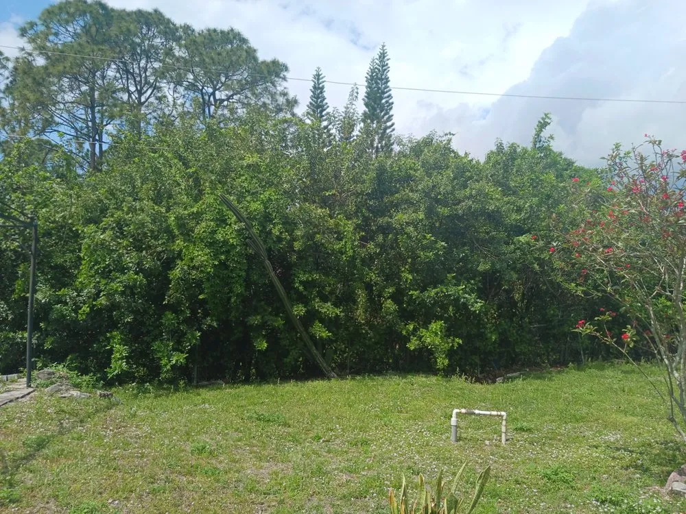 Top-rated landscape design for homes across Palm Bay, FL - Solid Lawns