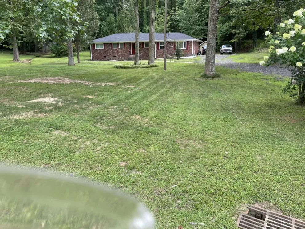 Top-rated lawn mowing service near you in Forest Park, GA by Solid Profit