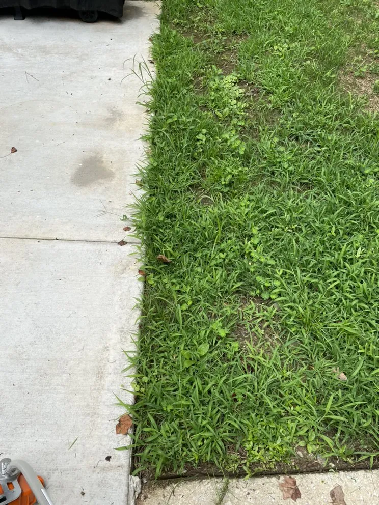 Custom yard cleanup service in Forest Park, GA - Solid Profit