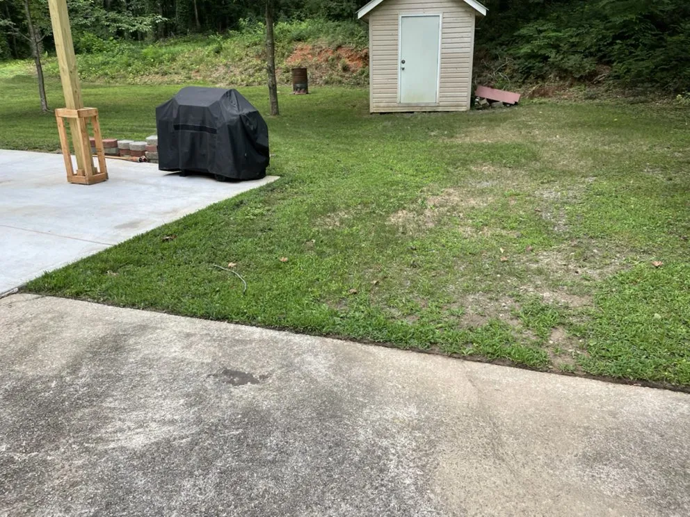 Trusted lawn care service experts serving Forest Park, GA - Solid Profit