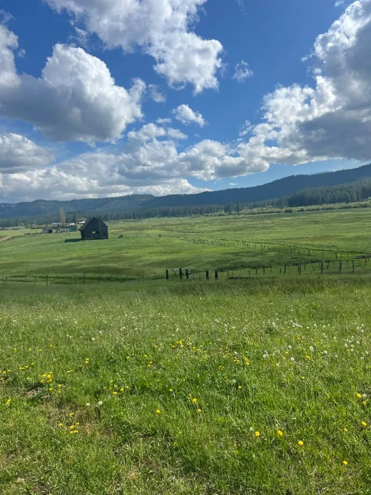 Professional residential landscaping in Ontario, OR - Solid Rock Construction and Renovation