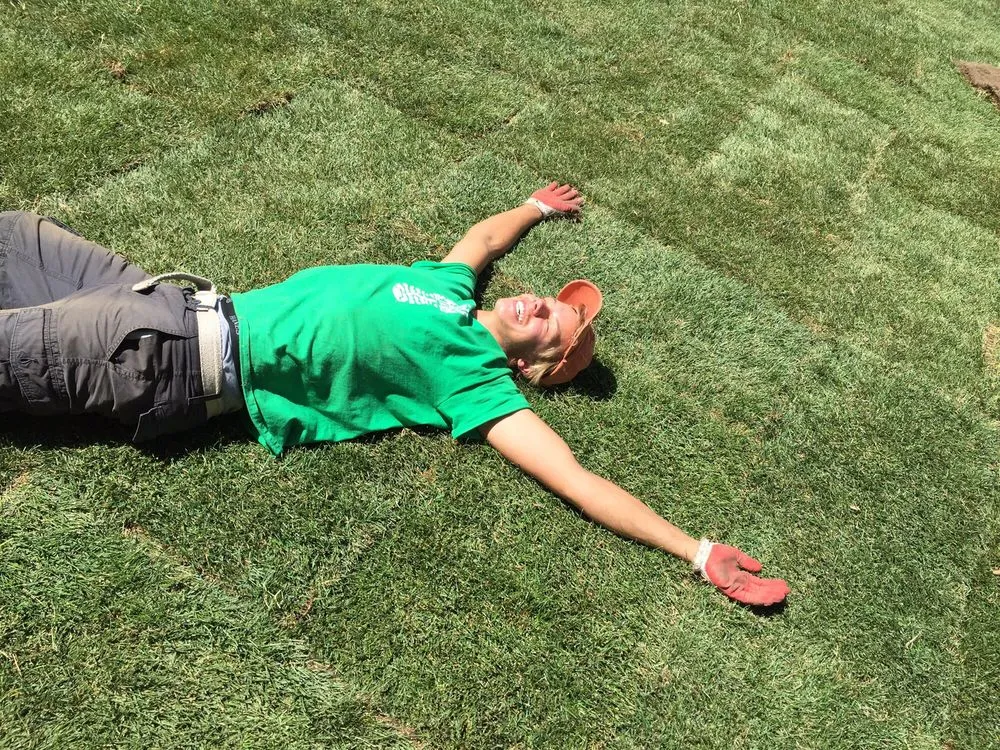 Trusted yard cleanup service for homes across Littleton, CO - Solid Rock Landscape