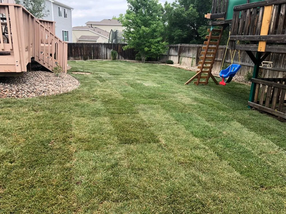 Local lawn mowing service for beautiful yards in Littleton, CO by Solid Rock Landscape