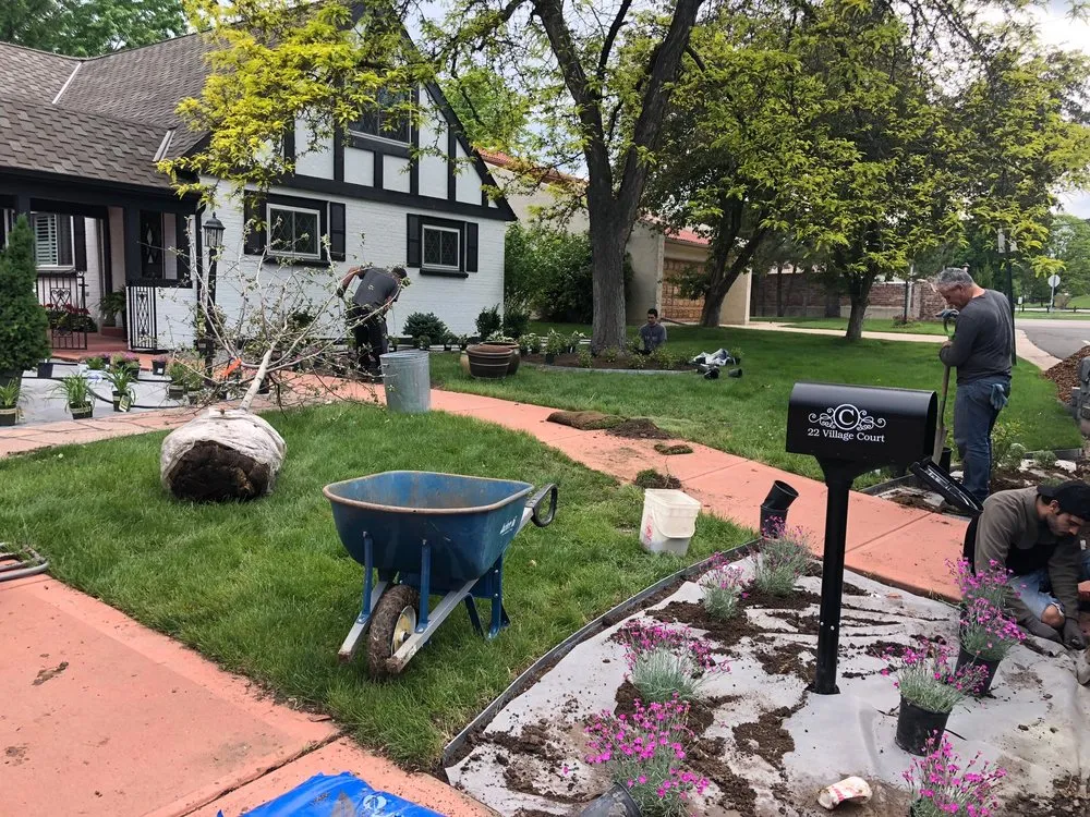 Expert lawn care service for residential properties in Littleton, CO by Solid Rock Landscape