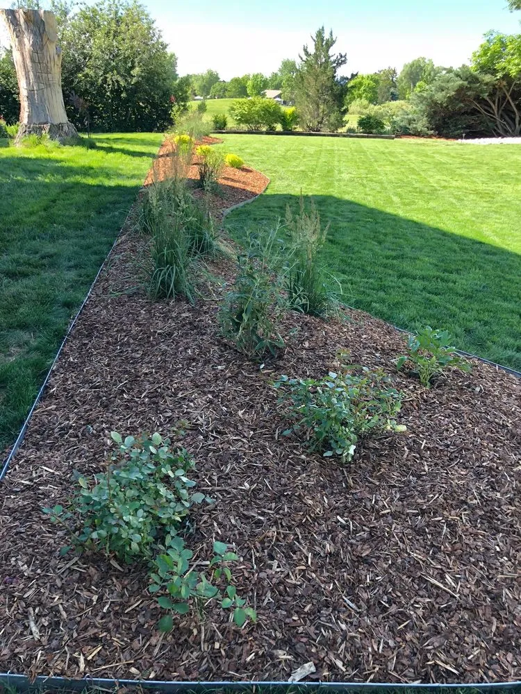 Reliable yard cleanup service experts serving Littleton, CO - Solid Rock Landscape