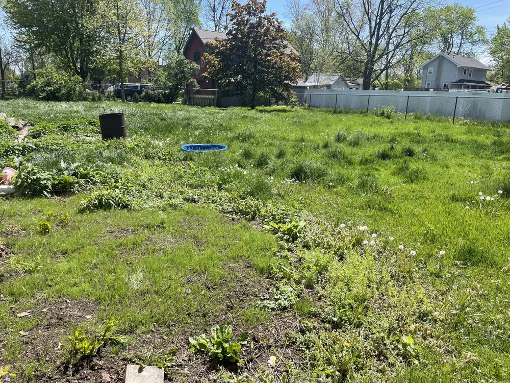 Expert yard cleanup service for outdoor upgrades across Joliet, IL - Solid Rock Lawn Care