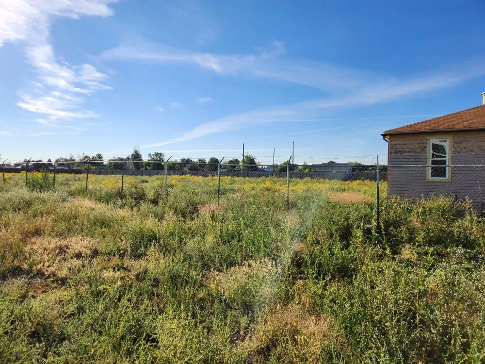 Local garden landscaping in Denver, CO - Solid Solutionz