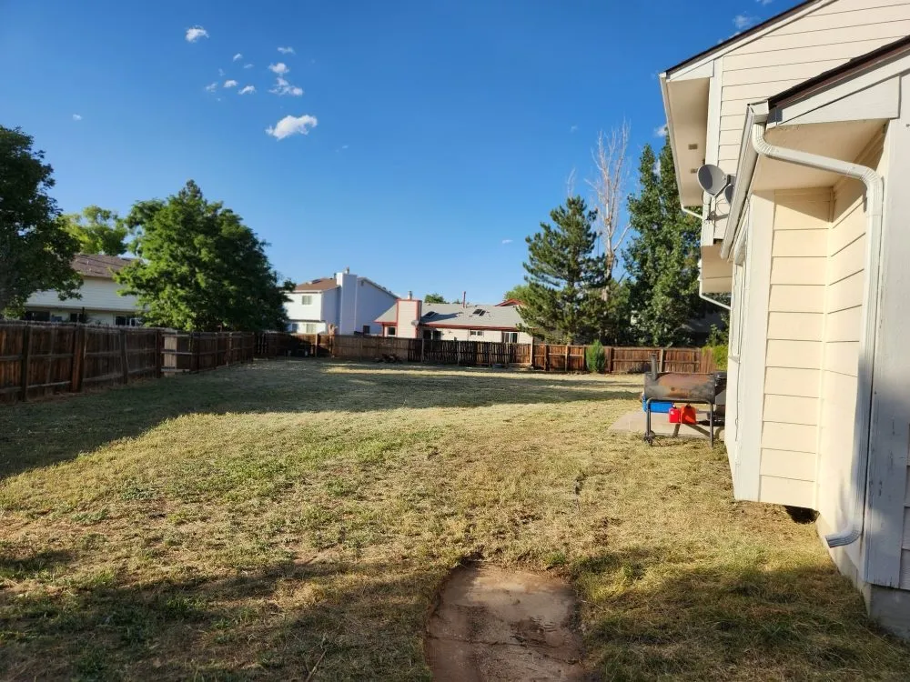 Reliable yard maintenance in Denver, CO - Solid Solutionz