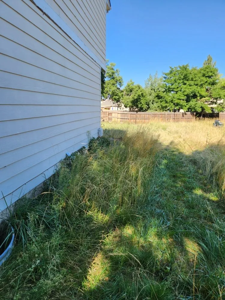 Professional landscaping services for outdoor upgrades in Denver, CO by Solid Solutionz