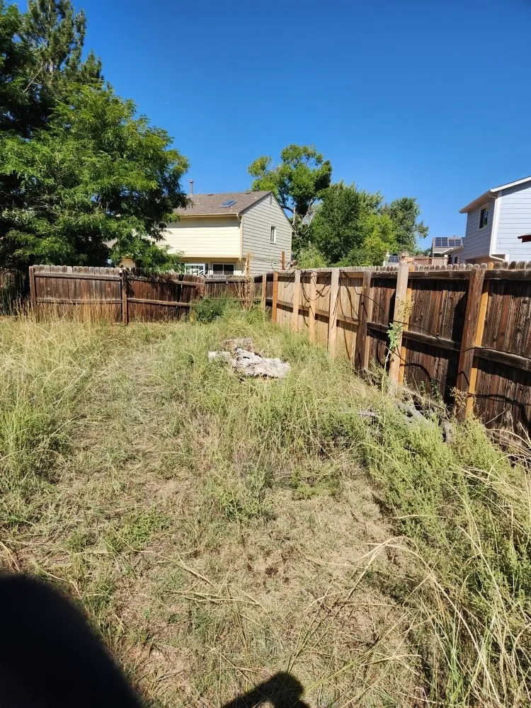 Affordable yard cleanup service in Denver, CO - Solid Solutionz