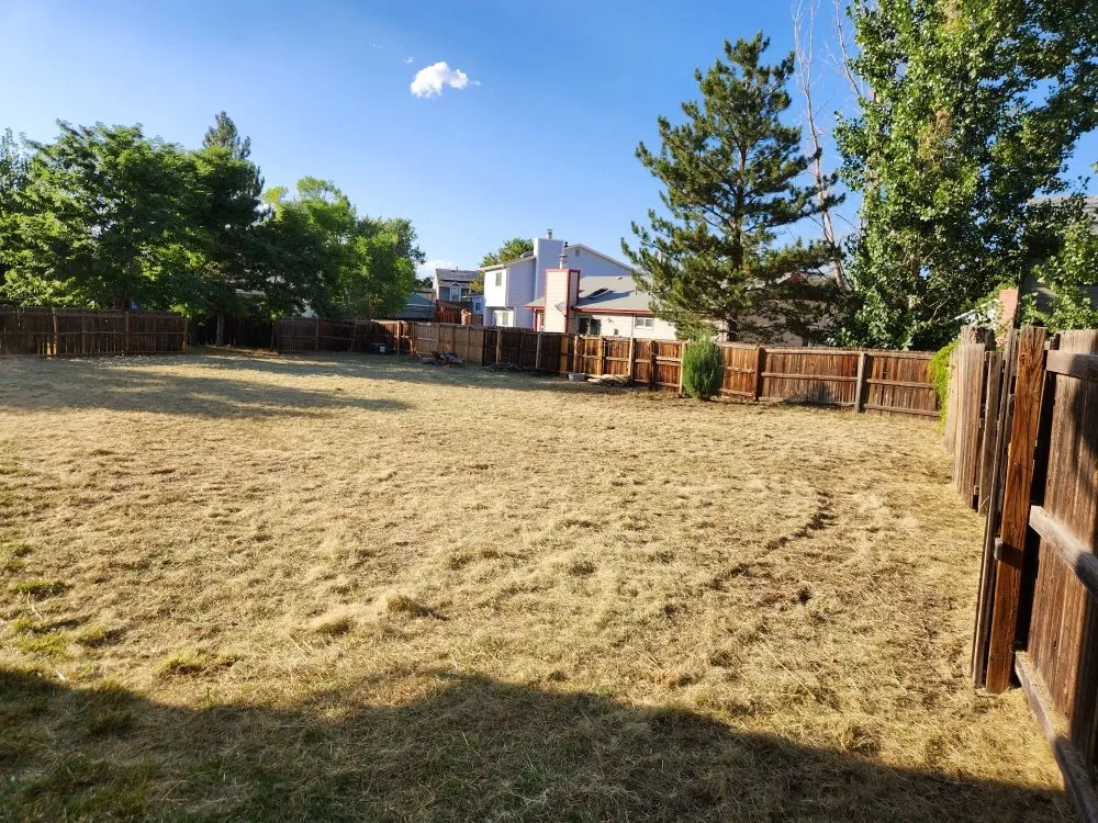 Trusted landscaping services for homes in Denver, CO by Solid Solutionz