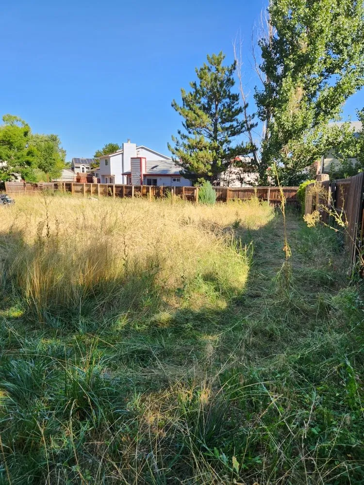 Expert garden landscaping in Denver, CO - Solid Solutionz