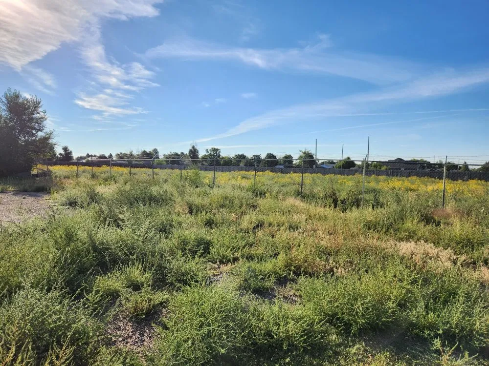 Professional landscaping services for homes across Denver, CO - Solid Solutionz