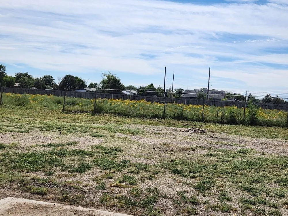 Reliable residential landscaping experts serving Denver, CO - Solid Solutionz