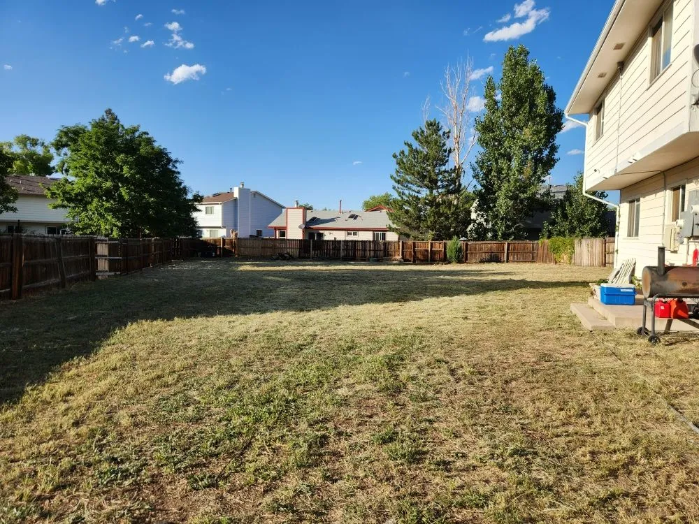 Custom residential landscaping near you in Denver, CO by Solid Solutionz