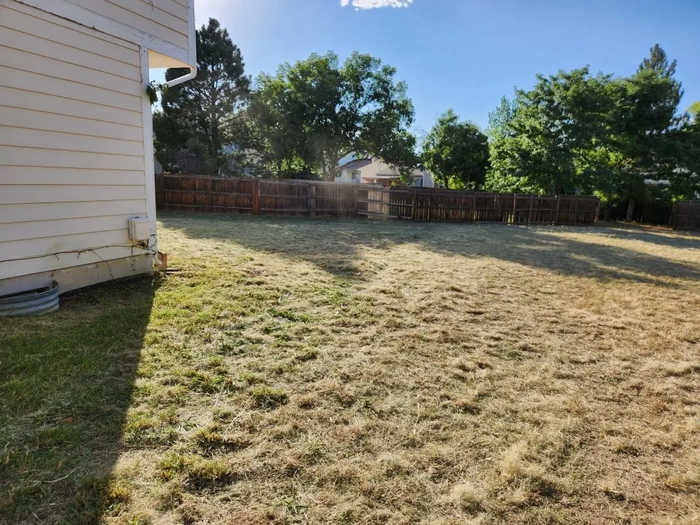 Expert lawn mowing service for homes in Denver, CO by Solid Solutionz