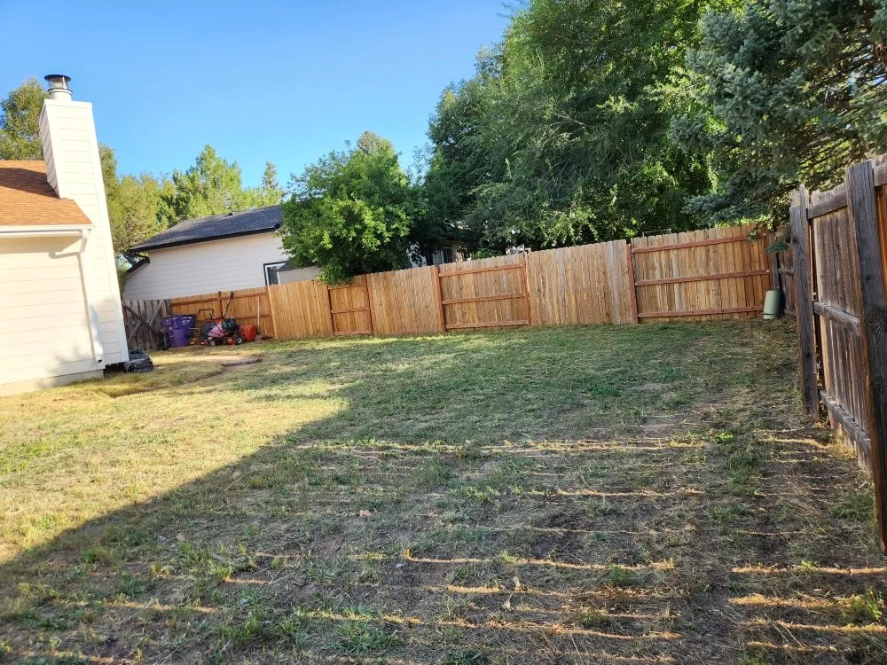 Custom yard cleanup service in Denver, CO by Solid Solutionz