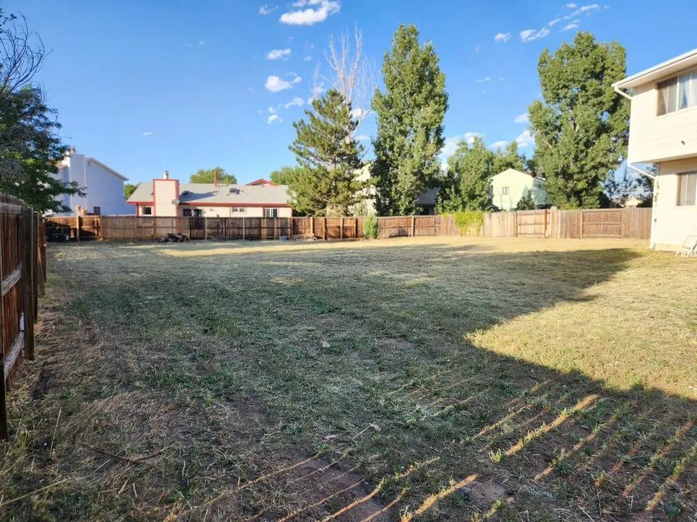 Affordable landscape installation experts serving Denver, CO - Solid Solutionz