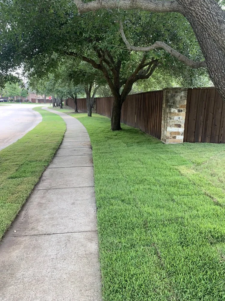 Local lawn care service experts serving Allen, TX - Solid Steele Customs